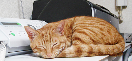 cyato_074.jpg