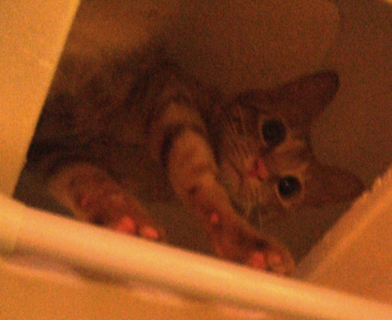 したから