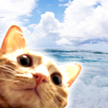 海にきたよ