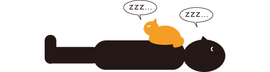 猫の寝方