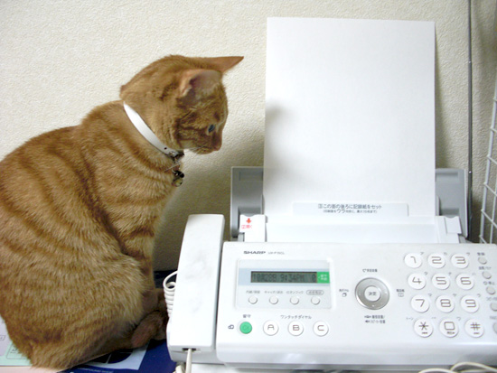FAX��ǭ01