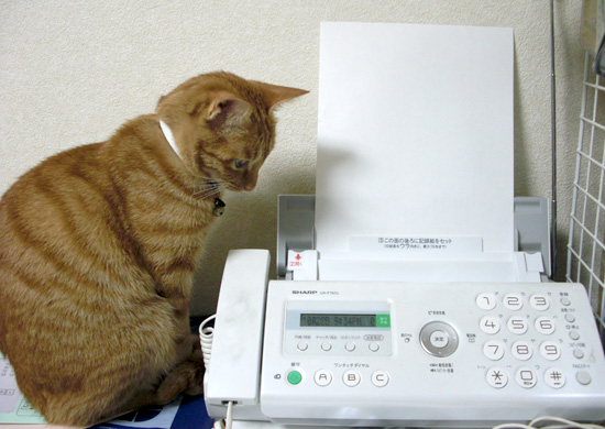 FAX��ǭ02