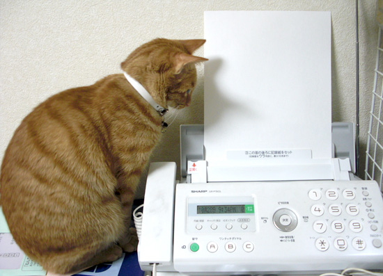 FAX��ǭ03