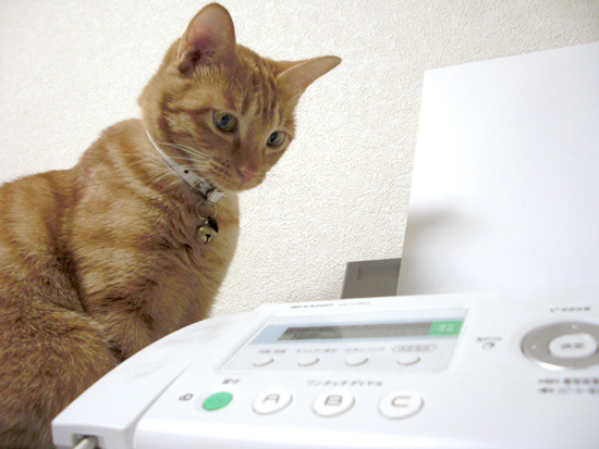 FAX��ǭ04