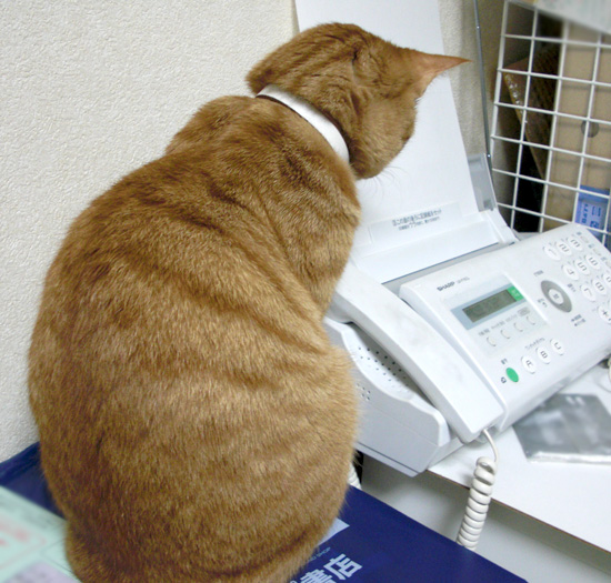 FAX��ǭ05