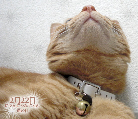 猫の日