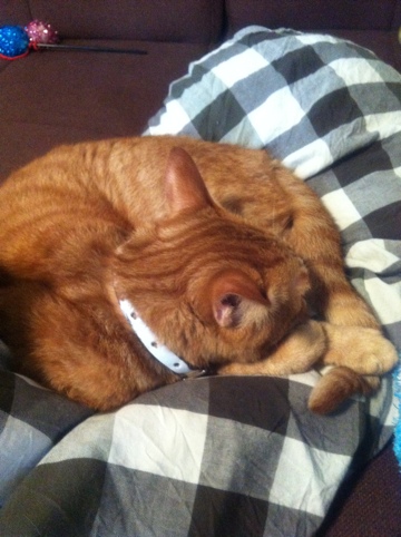 20111105-012139.jpg