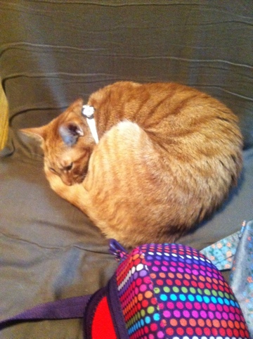 20111212-002259.jpg