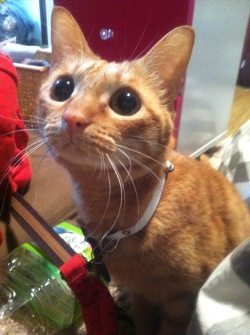 20120110-153028.jpg