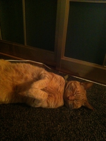 20120505-004545.jpg