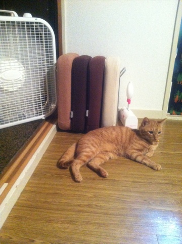 20120605-162757.jpg